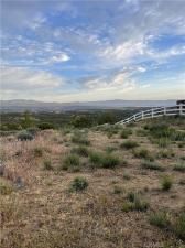 MLS #SW25260058 image #0