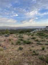 MLS #SW25260058 image #0