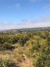 MLS #SW24088398 image #0