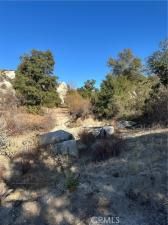 MLS #SW25267240 image #0