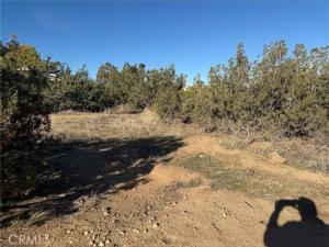 Neilson Road Lot 2 Phelan CA 92371 | MLS #SW25279159 45 MLS #SW25279159 image #0