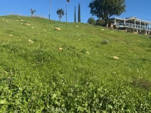 ARNOLD Lot 40 Lake Elsinore CA 92530 | MLS #SW26009771 45 MLS #SW26009771 image #0