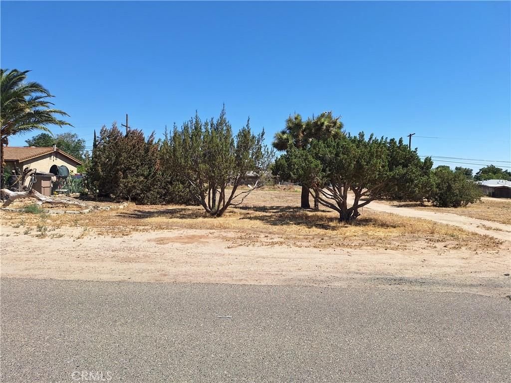 MLS #SW26011415 image #0