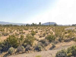 MLS #SW26021307 image #0