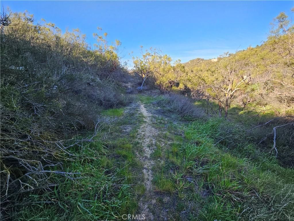 MLS #SW26025252 image #0
