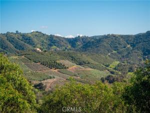 MLS #SW26030724 image #0