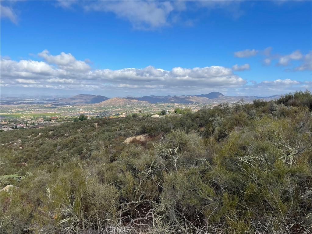 MLS #SW26037797 image #0