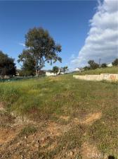 MLS #SW26043687 image #0