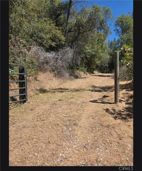 MLS #SW26052342 image #0