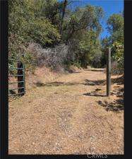 MLS #SW26052342 image #0