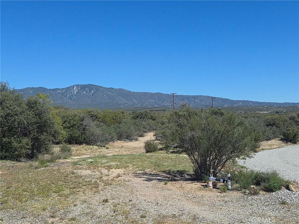MLS #SW26053580 image #0
