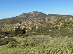 MLS #SW26054490 image #0