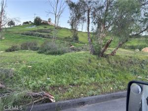 Miller Street Lot 2 Lake Elsinore CA 92530 | MLS #SW26054573 45 MLS #SW26054573 image #0