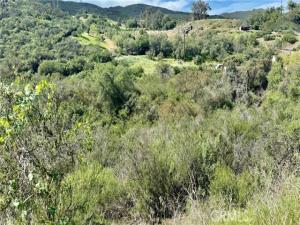 MLS #SW26054588 image #0