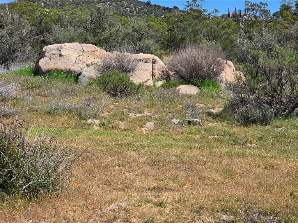 MLS #SW26056096 image #0