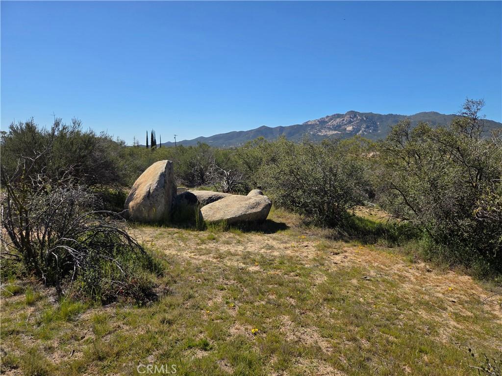 MLS #SW26058089 image #0