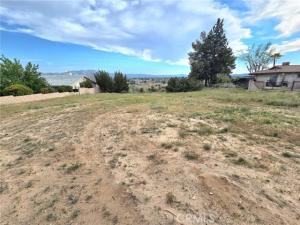 MLS #SW26059651 image #0