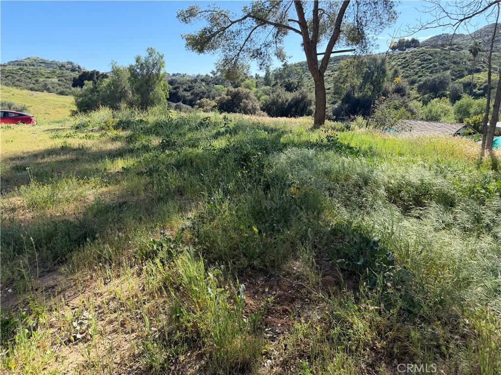MLS #SW26066868 image #0