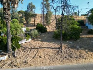 MLS #SW26074408 image #0
