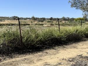 MLS #SW26087186 image #0