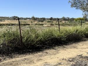 MLS #SW26087186 image #0