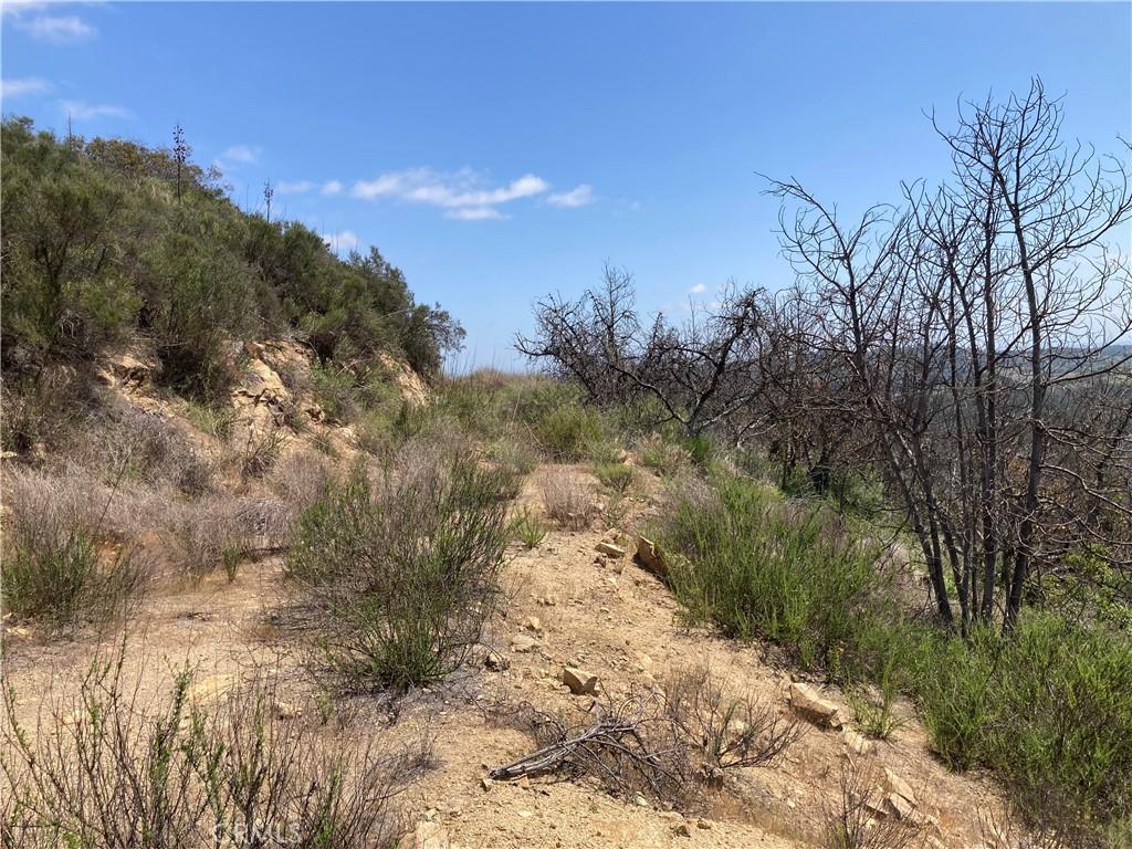 MLS #SW26088284 image #0