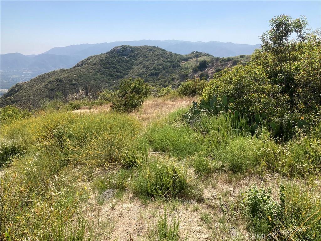MLS #SW26088316 image #0