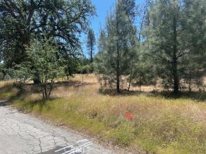 MLS #SW26096313 image #0