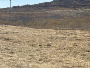 MLS #SW26102105 image #0