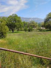 MLS #SW26104851 image #0