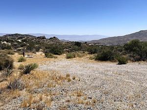 MLS #SW26105737 image #0