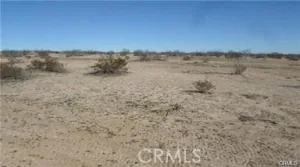 broker reciprocity