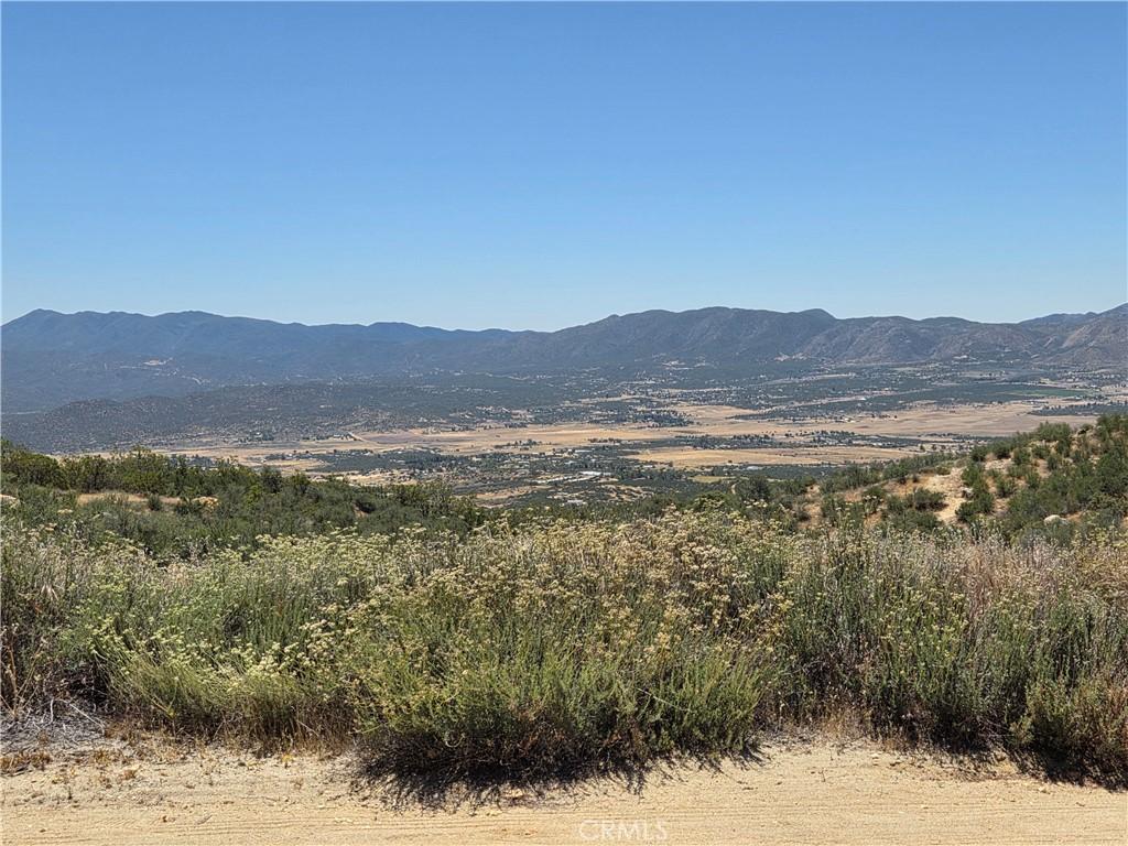 MLS #SW26116865 image #0