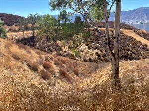 MLS #SW26118601 image #0
