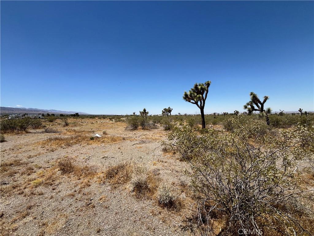 MLS #SW26125705 image #0