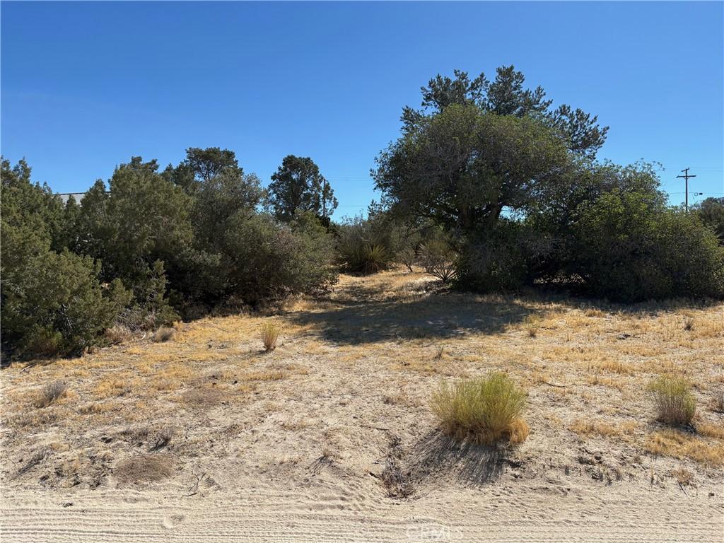 MLS #SW26125995 image #0