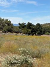 MLS #SW26126634 image #0