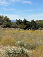 MLS #SW26126634 image #0