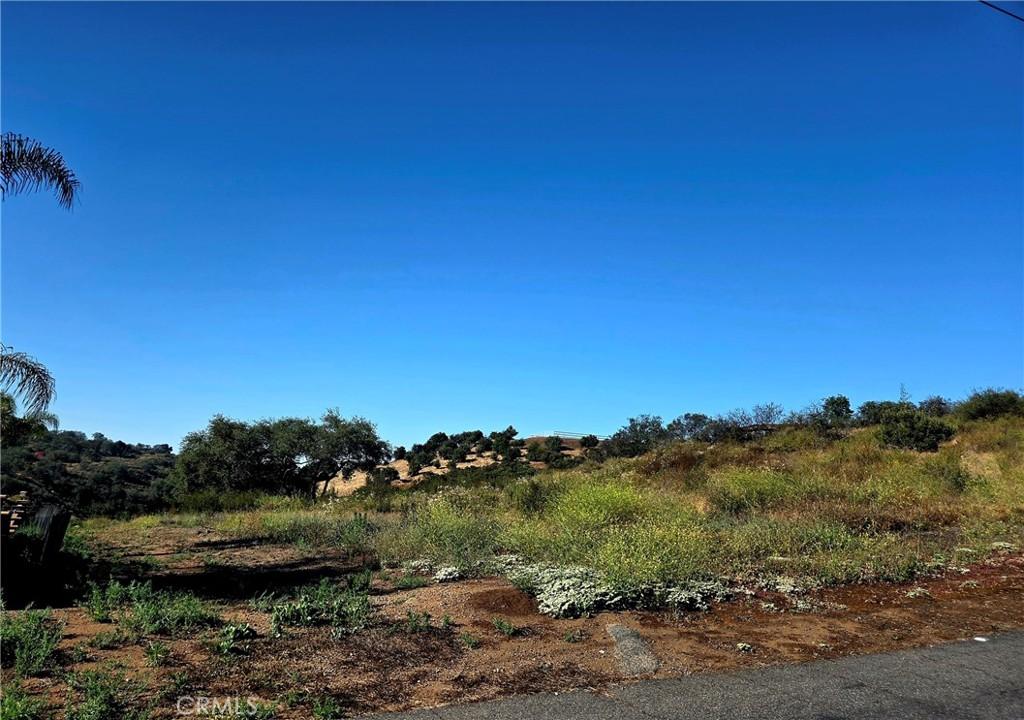 MLS #SW26127858 image #0