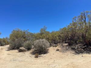 MLS #SW26128698 image #0