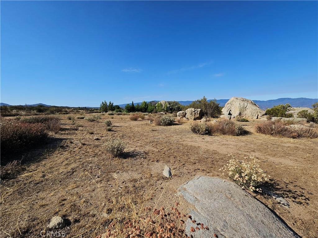 MLS #SW26129557 image #0