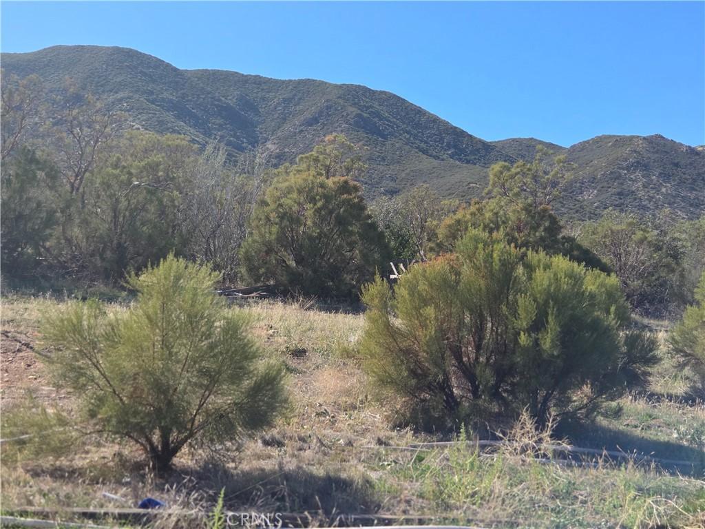 MLS #SW26132475 image #0