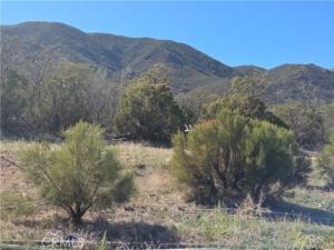 Taron Trail Lot D Anza CA 92539 | MLS #SW26132475 45 MLS #SW26132475 image #0