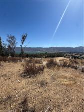 MLS #SW26139544 image #0