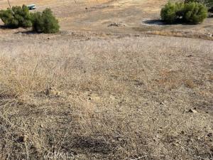 MLS #SW26140990 image #0