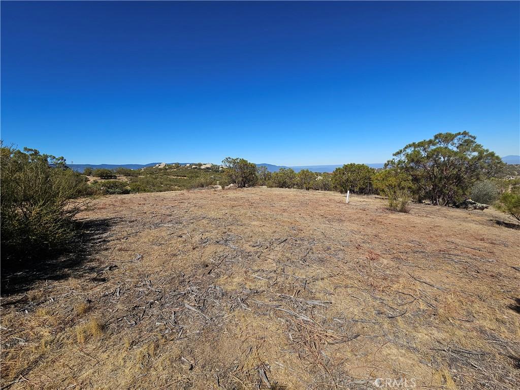 MLS #SW26141242 image #0
