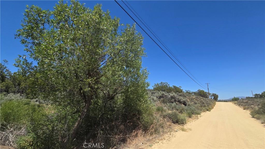 MLS #SW26141451 image #0