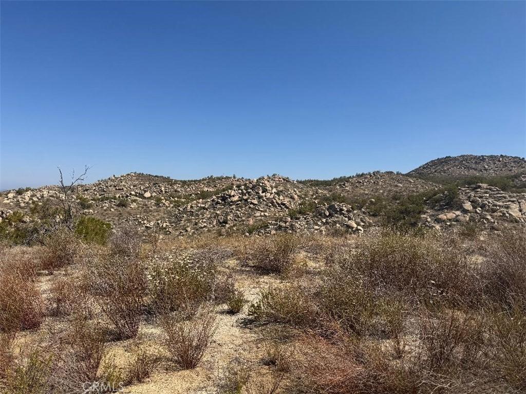 MLS #SW26142069 image #0