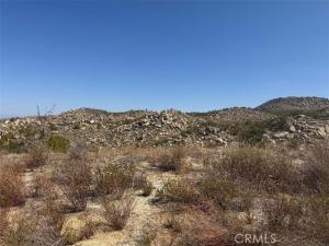 MLS #SW26142069 image #0