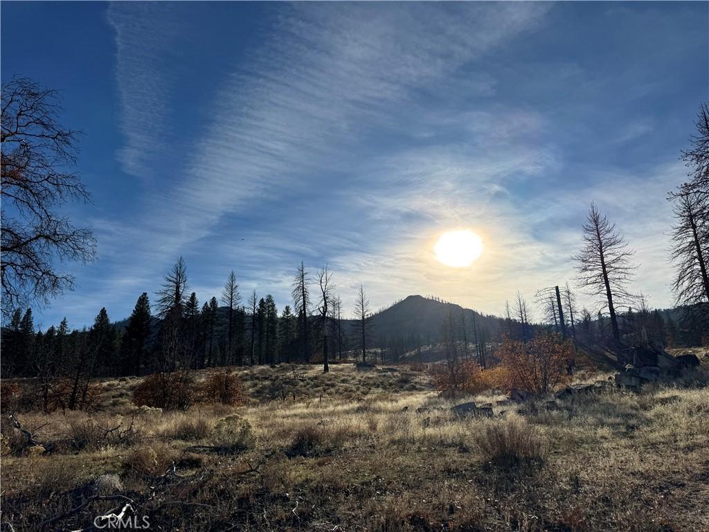 MLS #SW26144818 image #0